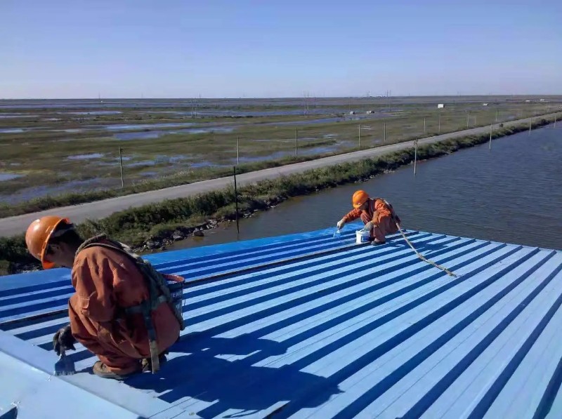 鄢陵彩钢瓦屋面防腐翻新